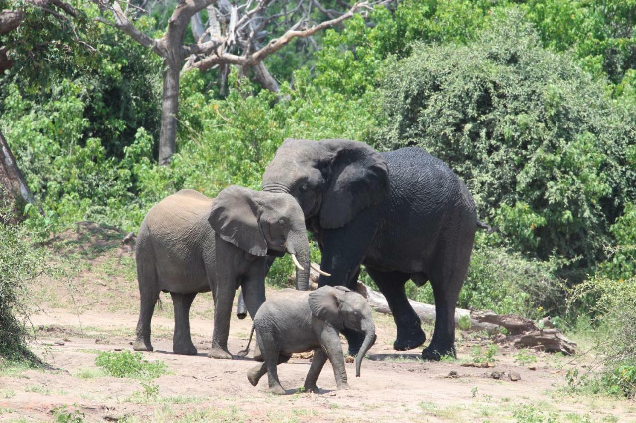 Tlou Safari Lodge Kasane Bagian luar foto