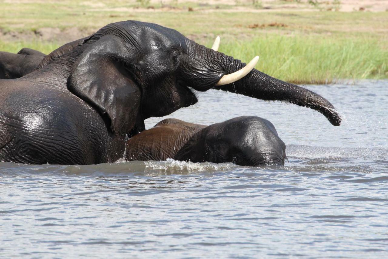 Tlou Safari Lodge Kasane Bagian luar foto
